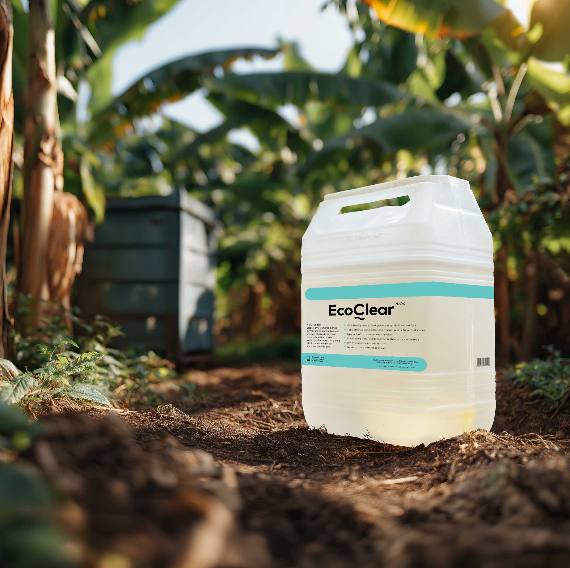 An EcoClearProx container in a banana plantation