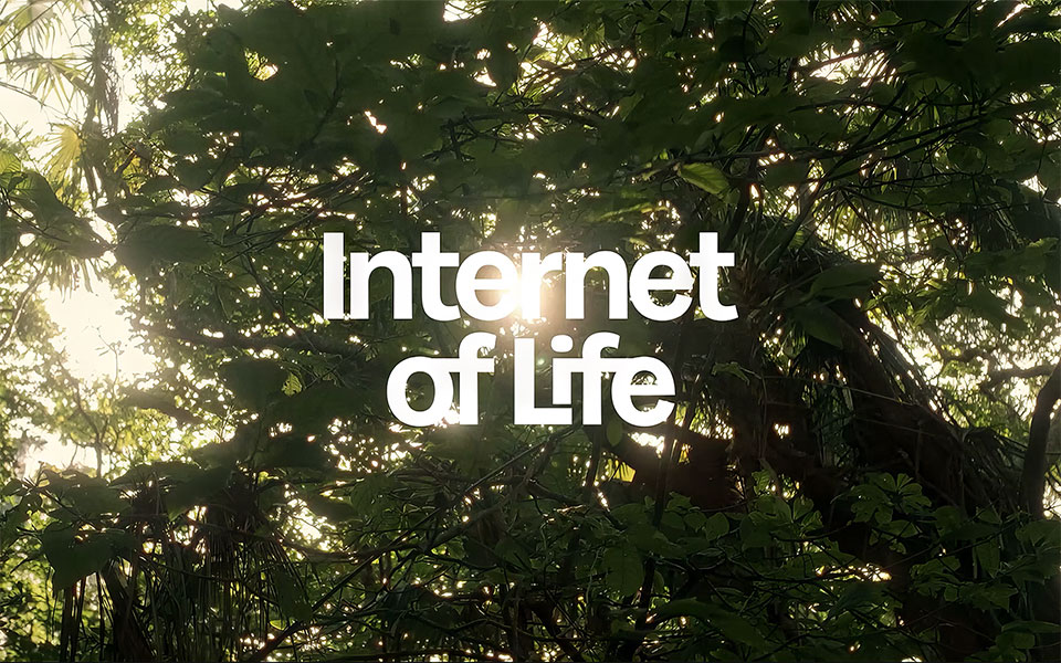Introducing the Internet of Life™